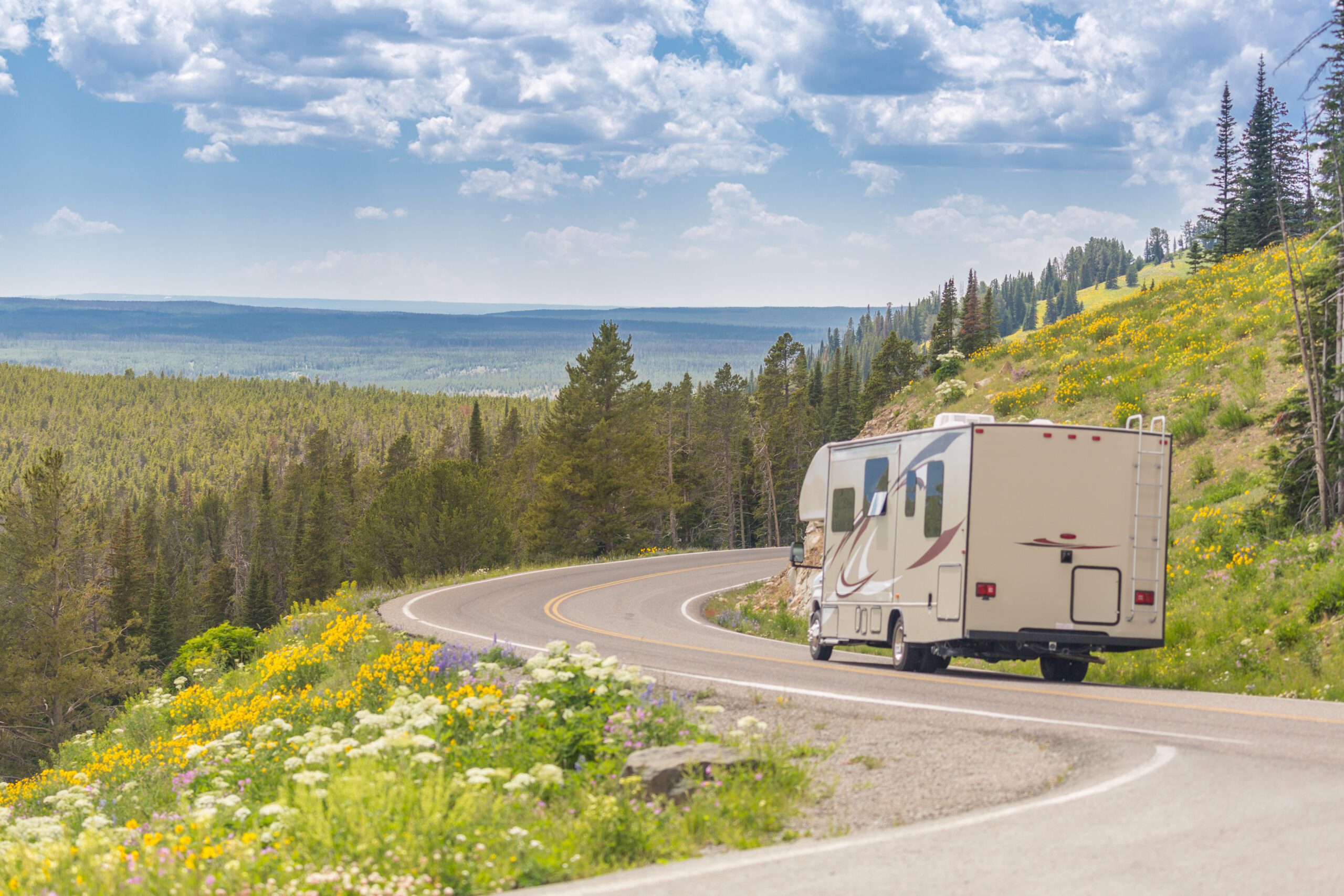 Camper Driving Down Road in The Beautiful Countryside Among Pine Trees and Flowers.